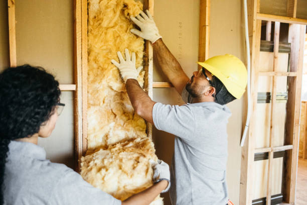 Best Spray Foam Insulation  in Northwood, IA